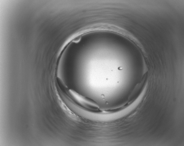 X0000081491530200701191845