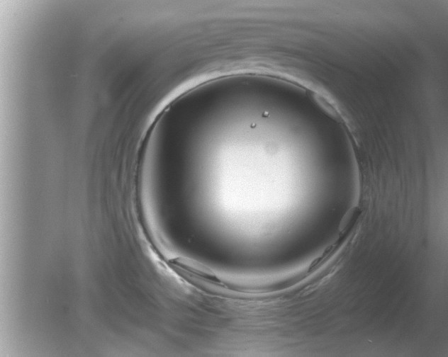 X0000081491534200701191845