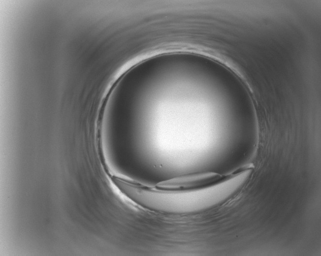 X0000081491535200701191845