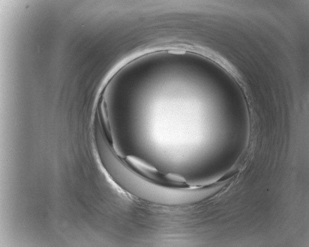 X0000081491536200701191845