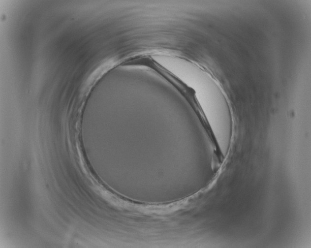 X0000081490001200701262105