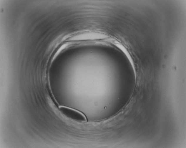 X0000081490002200701262105