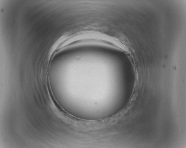 X0000081490003200701262105