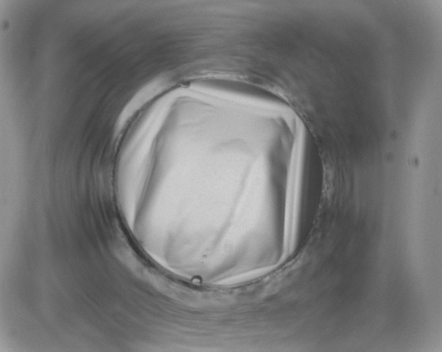 X0000081490004200701262105