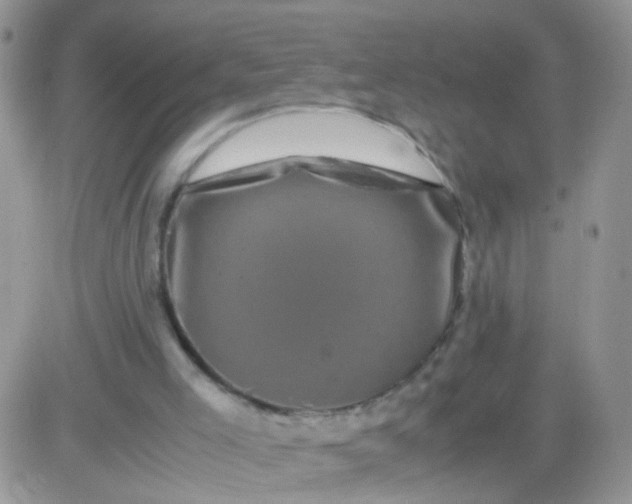 X0000081490005200701262105