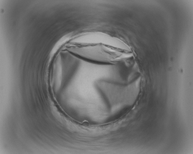 X0000081490006200701262105