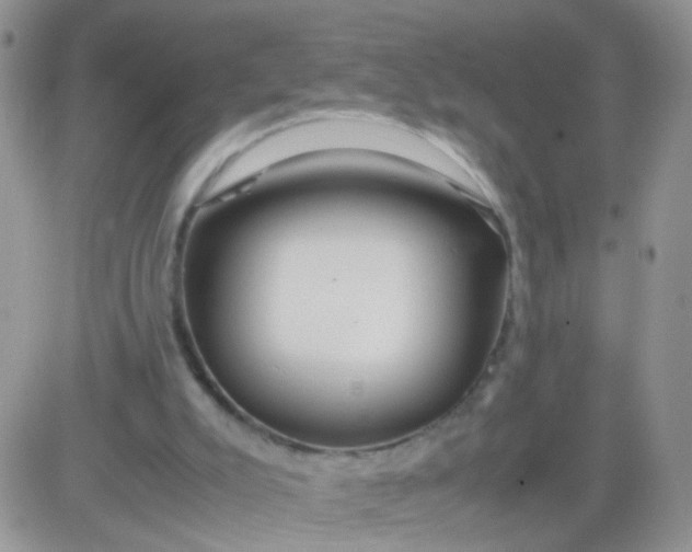 X0000081490007200701262105