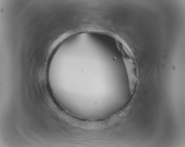 X0000081490008200701262105