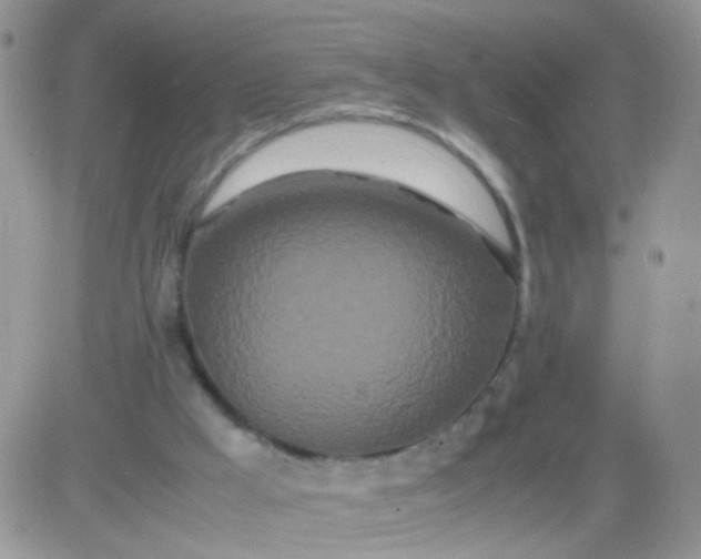 X0000081490009200701262105