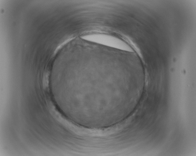 X0000081490010200701262105