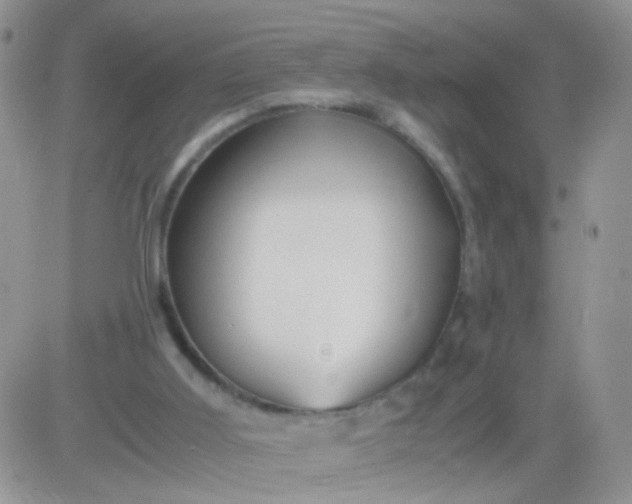 X0000081490011200701262105