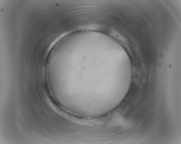 X0000081490012200701262105