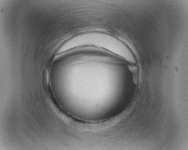 X0000081490013200701262105