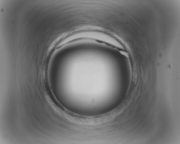 X0000081490015200701262105