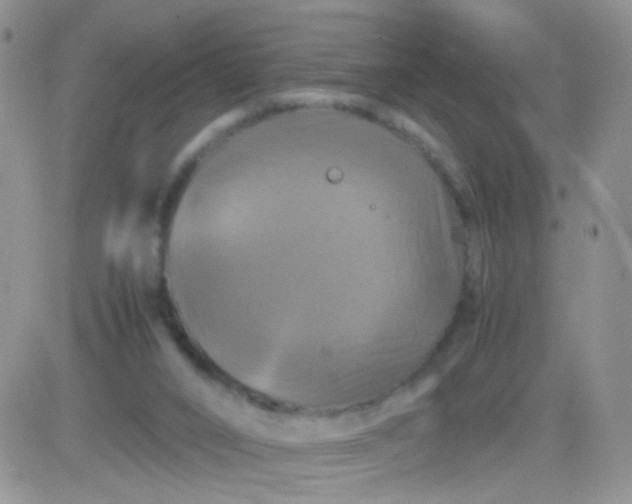 X0000081490016200701262105