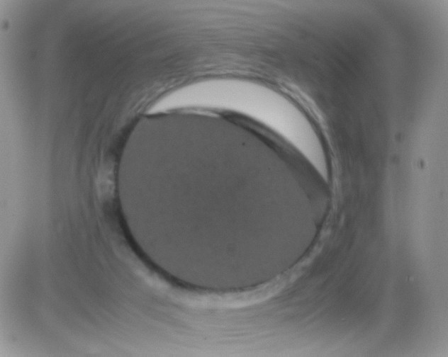 X0000081490017200701262105