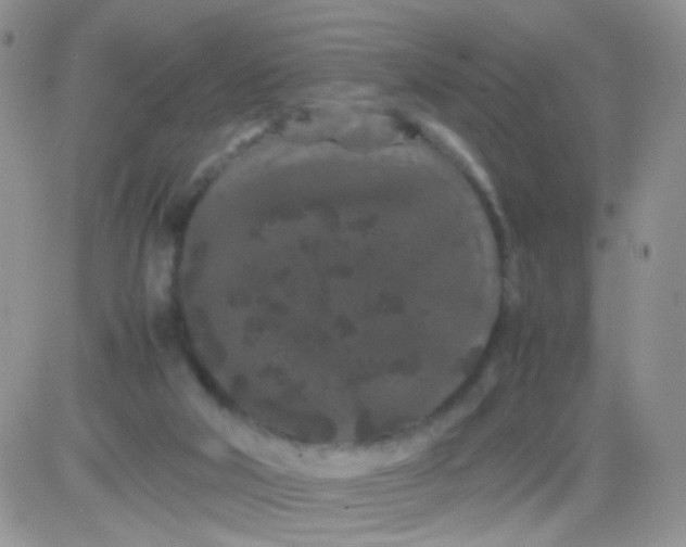 X0000081490018200701262105