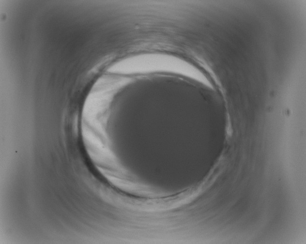 X0000081490019200701262105