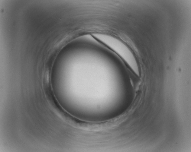 X0000081490021200701262105