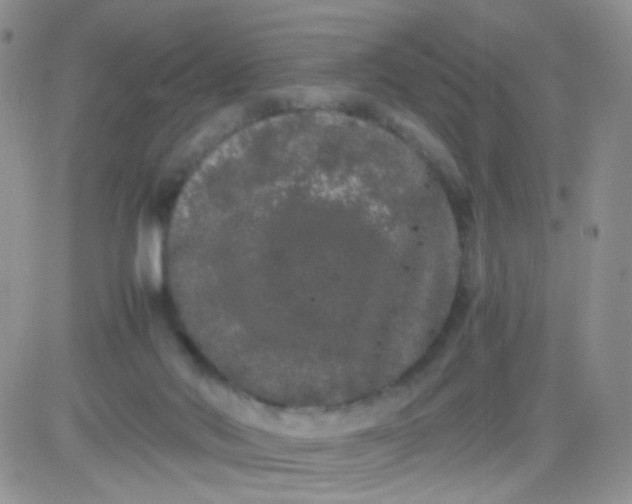 X0000081490022200701262105