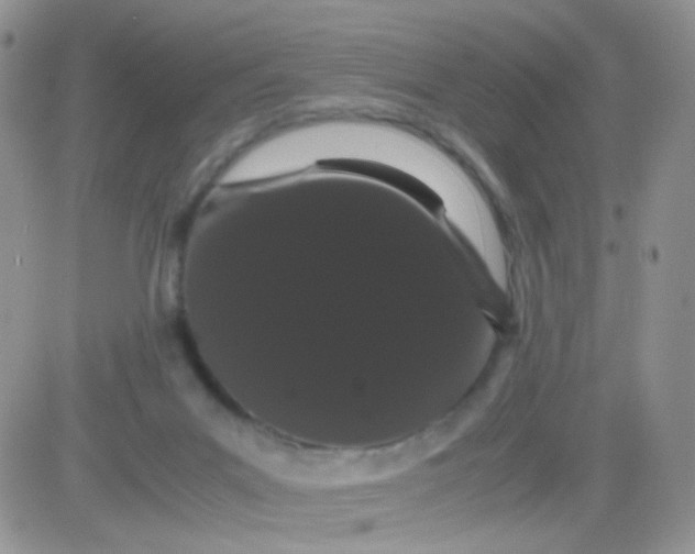 X0000081490023200701262105