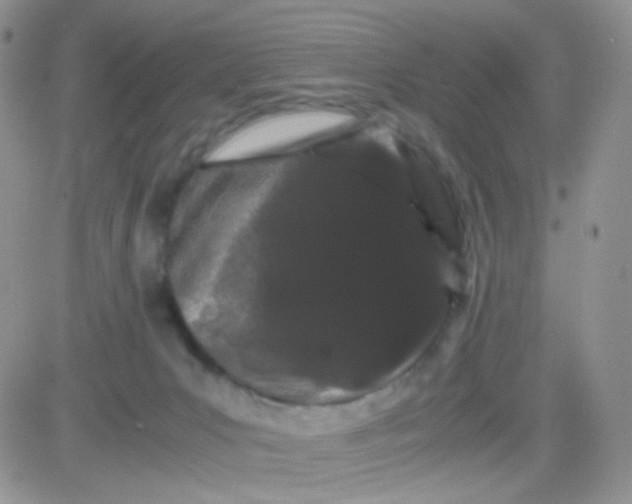 X0000081490031200701262105