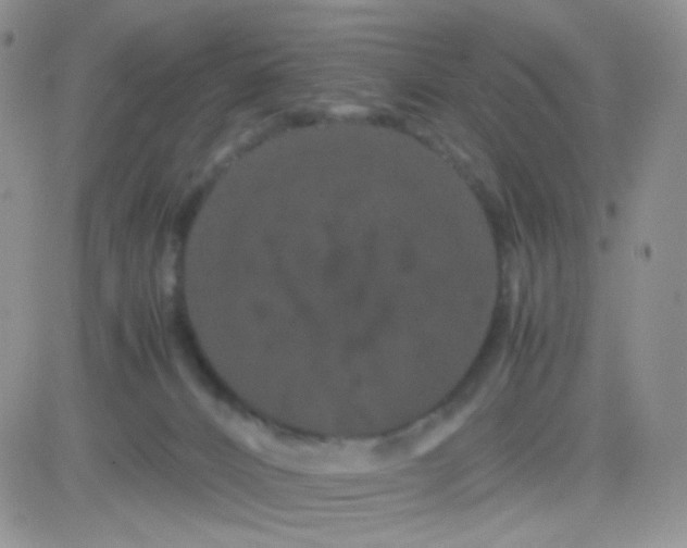 X0000081490032200701262105