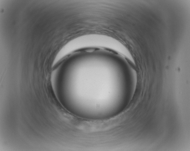 X0000081490033200701262105