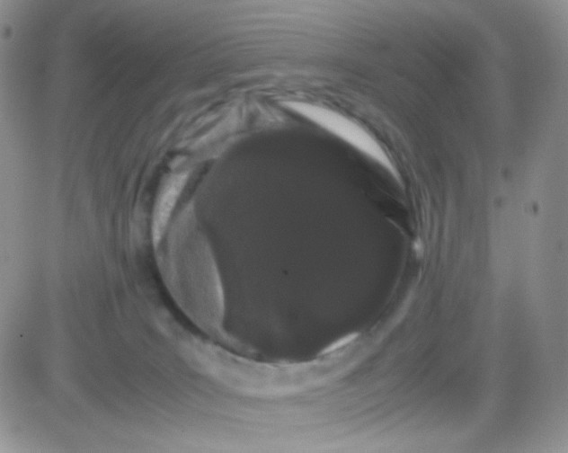 X0000081490035200701262105