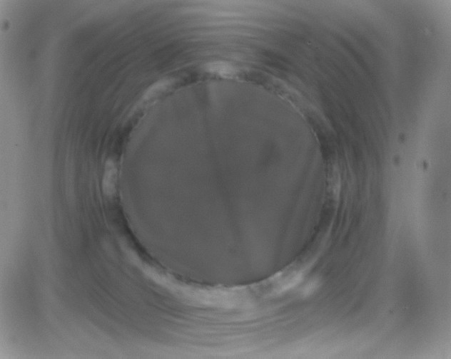 X0000081490036200701262105