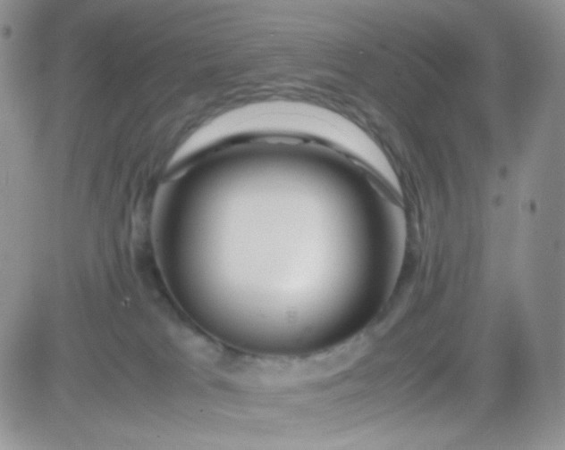 X0000081490037200701262105