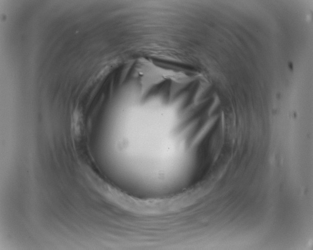 X0000081490038200701262105