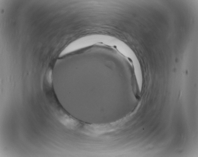 X0000081490041200701262105