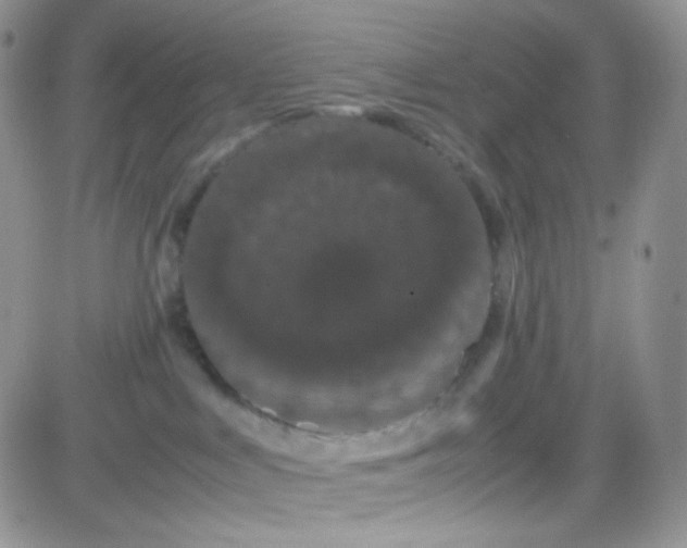 X0000081490043200701262105