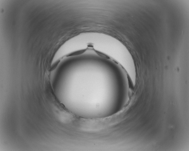 X0000081490045200701262105