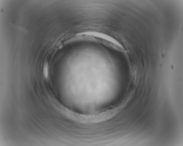 X0000081490046200701262105