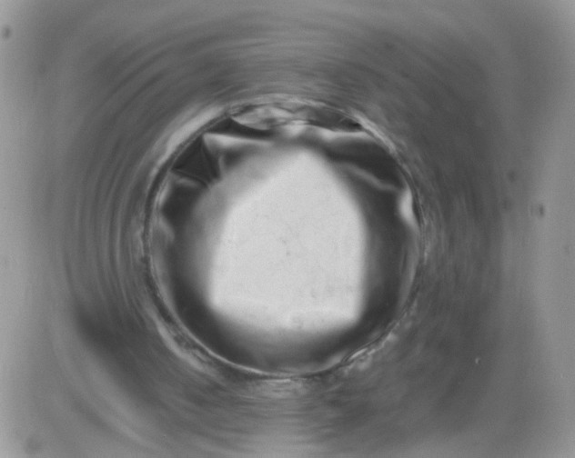 X0000081490050200701262104