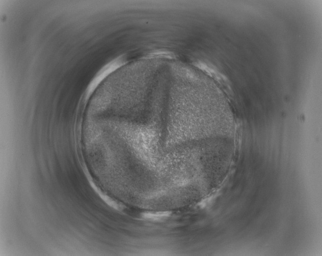 X0000081490051200701262104