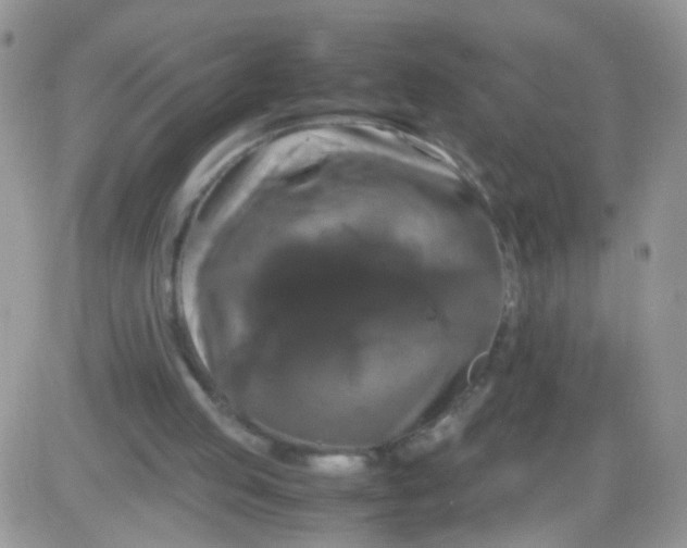 X0000081490053200701262104