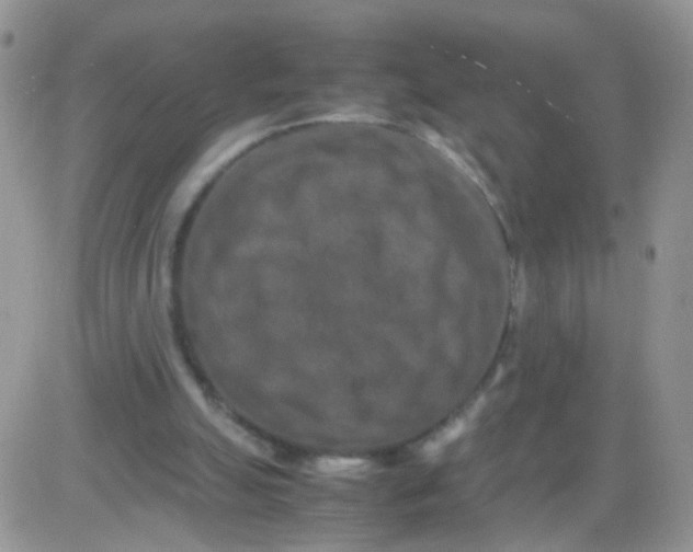 X0000081490055200701262104