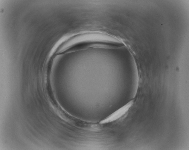 X0000081490056200701262104