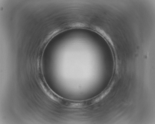 X0000081490057200701262104