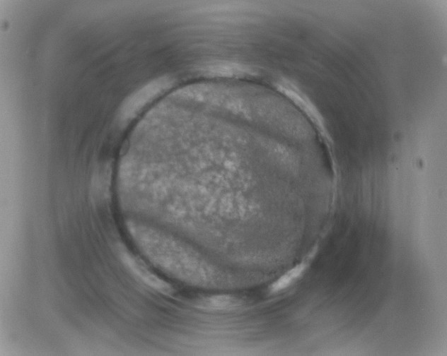 X0000081490058200701262104