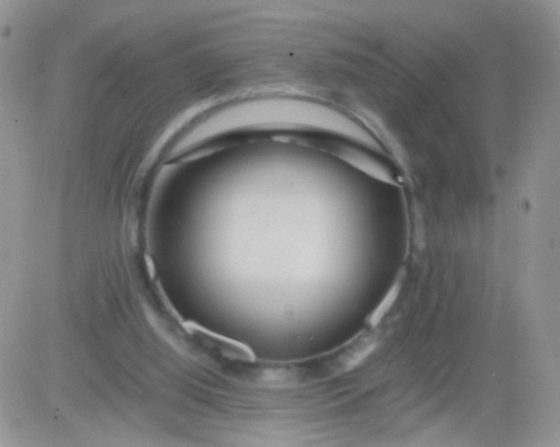 X0000081490060200701262104