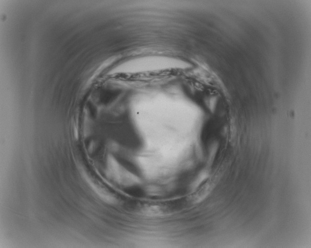 X0000081490062200701262104