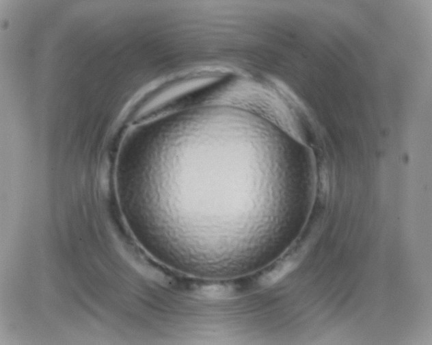 X0000081490064200701262104