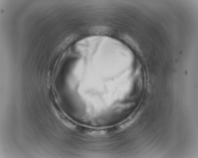 X0000081490065200701262104