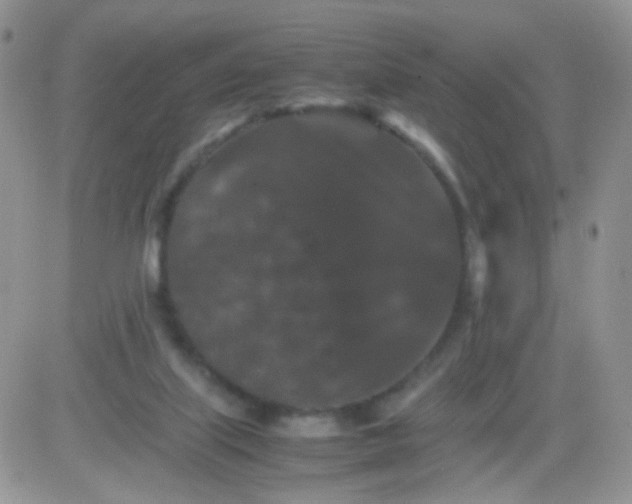 X0000081490067200701262104