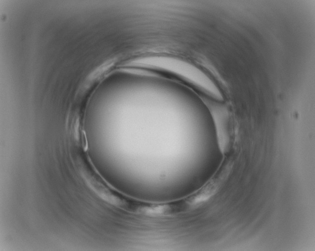 X0000081490068200701262104