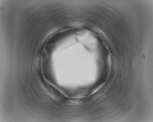 X0000081490071200701262104